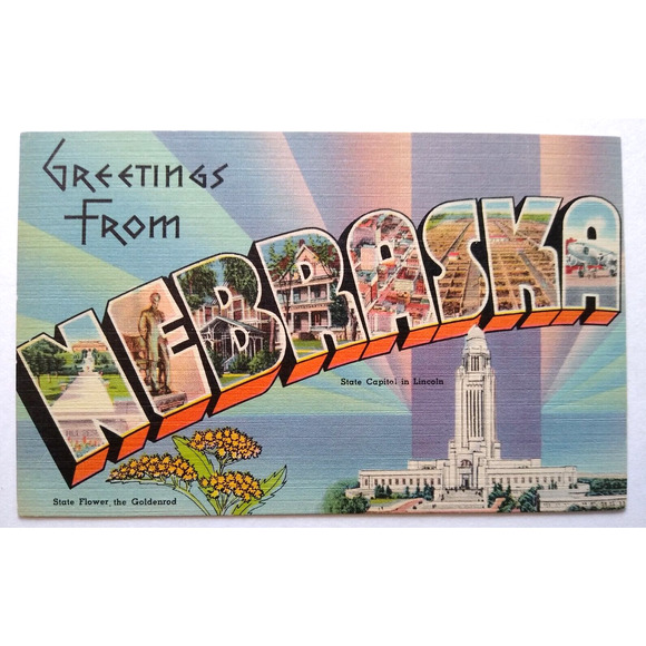 Greetings From Nebraska Postcard Large Letter Tichnor Unused Goldenrod Flower - Picture 1 of 2
